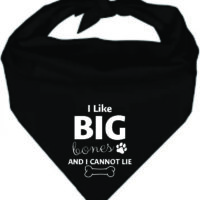 Pet Bandana Black