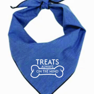Pet Bandana Slate Blue