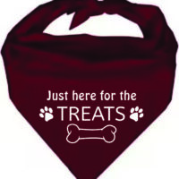Pet Bandana Burgundy