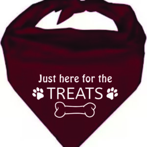 Pet Bandana Burgundy