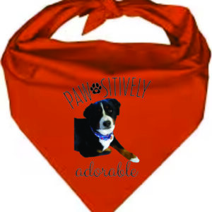 Pet Bandana Customized with photo