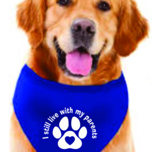 Pet Bandana Royal Blue