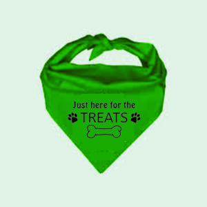 Pet Bandana Green