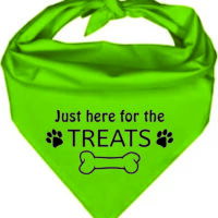 Pet Bandana Lime Green