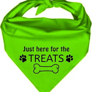 Pet Bandana Lime Green
