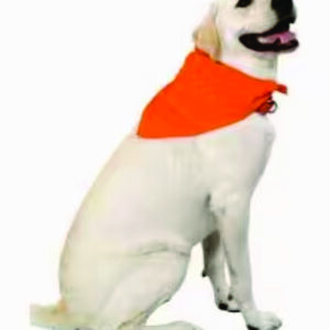 Pet Bandana Hunter Orange