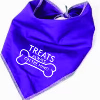 Pet Bandana Purple